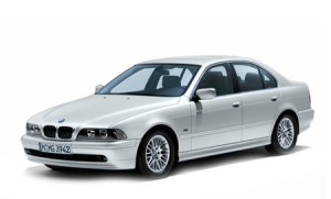 Коврики в салон (2 ряда) BMW 5 (E39) 1995-2004 (седан)