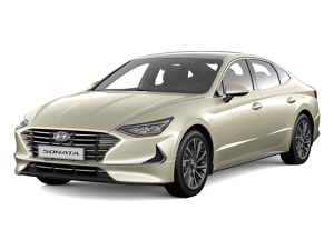 Коврик в багажник Hyundai Sonata VIII (DN8) 2019-н.в.