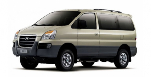 Коврик в багажник Hyundai Starex 1996-2007*