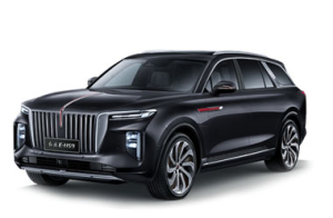 Коврики в салон (2 ряда) Hongqi E-HS9 2020-н.в.