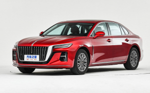 Коврики в салон (2 ряда) Hongqi H5 II 2022-н.в.