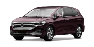 Коврики в салон (2 ряда) Volkswagen Viloran 2020-н.в. (пол деревянный)*